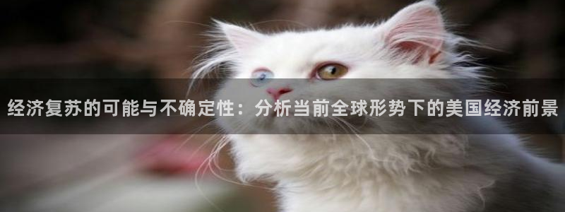 聚彩能源
