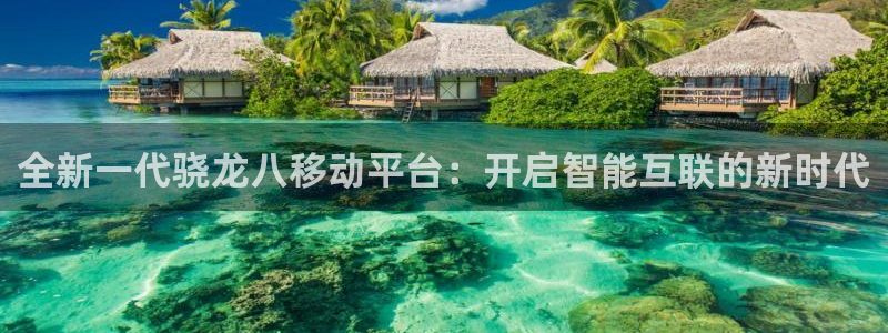 聚彩3