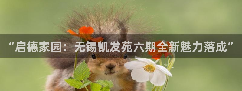 聚彩2平台登录：“启德家园：无锡凯发苑六期全新魅力落成”