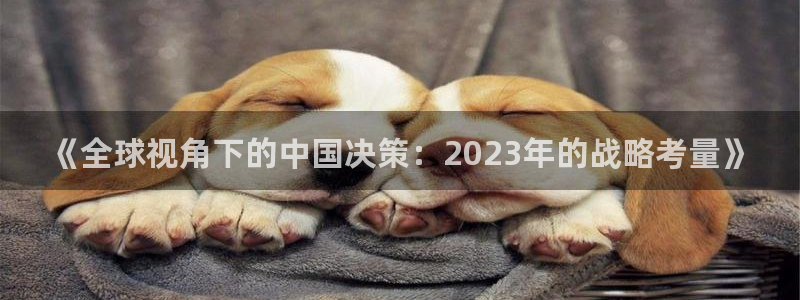 聚彩凯捷开号链接：《全球视角下的中国决策：2023年的战略考量》