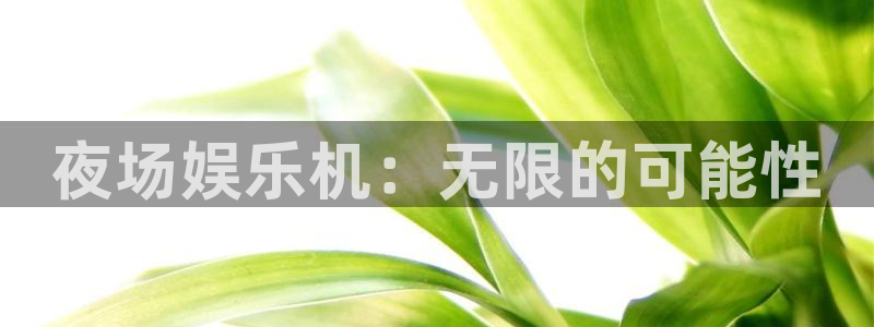 聚彩登录注册：夜场娱乐机：无限的可能性