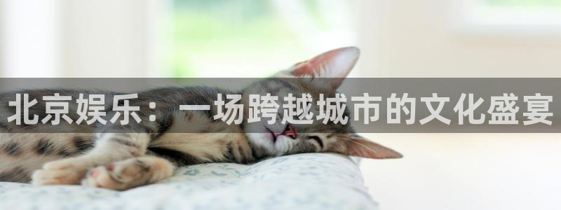 聚彩5注册：北京娱乐：一场跨越城市的文化盛宴