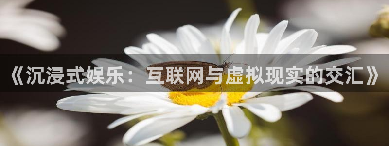 聚彩平台开户链接：《沉浸式娱乐：互联网与虚拟现实的交汇》