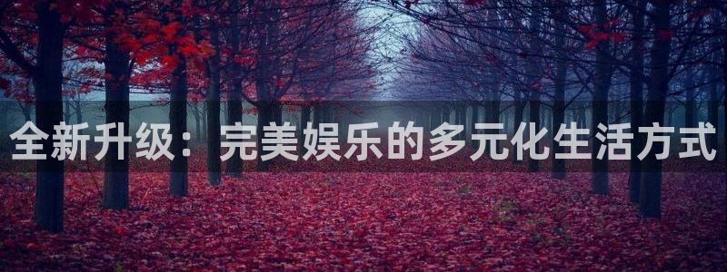 聚彩凯捷开号链接：全新升级：完美娱乐的多元化生活方式