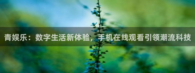 聚彩平台总代理：青娱乐：数字生活新体验，手机在线观看引领潮流科技