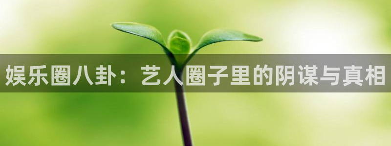 聚彩体育平台注册：娱乐圈八卦：艺人圈子里的阴谋与真相