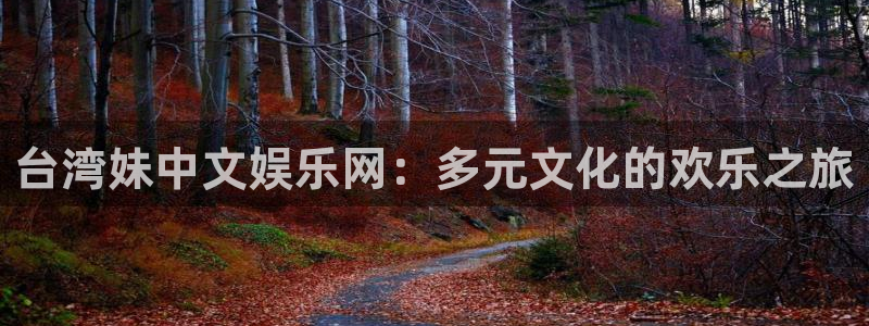 成都聚彩电子有限公司：台湾妹中文娱乐网：多元文化的欢乐之旅
