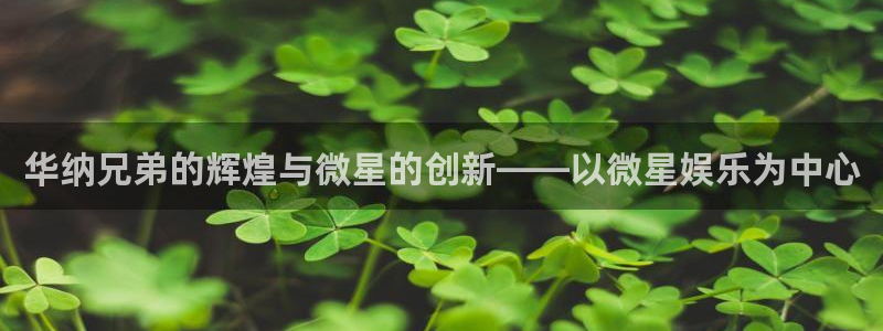 聚彩体育娱乐注册链接：华纳兄弟的辉煌与微星的创新——以微星娱乐为中心