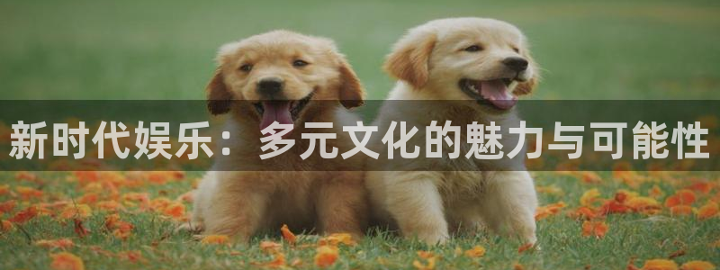聚彩登录界面入口：新时代娱乐：多元文化的魅力与可能性