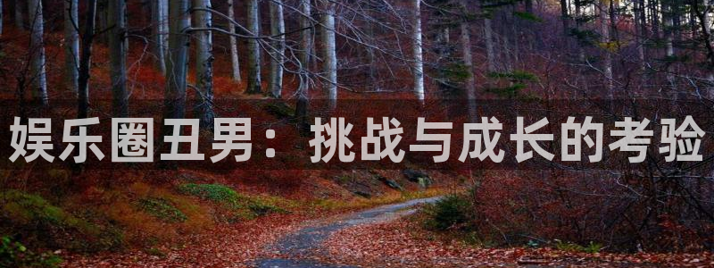 聚彩登录界面入口：娱乐圈丑男：挑战与成长的考验