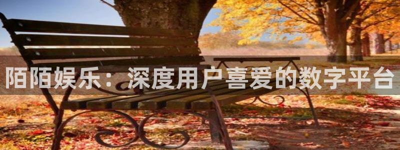 聚彩体育注册代理：陌陌娱乐：深度用户喜爱的数字平台