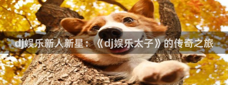 聚彩平台招商：dj娱乐新人新星：《dj娱乐太子》的传奇之旅