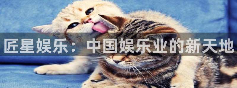 聚彩凯捷平台