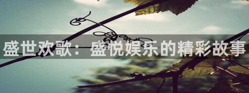 聚彩体育网页版入口